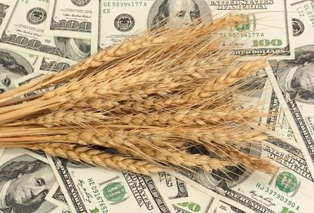 Жовтневий звіт USDA обвалив пшеничні котирування в США