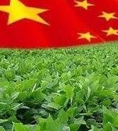 The price of soybeans is increasing due to increased demand from China
