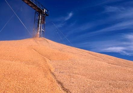 The agriculture Ministry estimates the grain harvest in 2017/18 MG 62 million tons