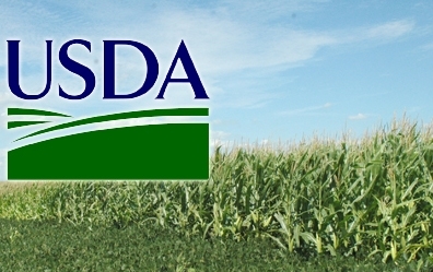 Після звіту USDA соя дешевшає, а кукурудза дорожчає