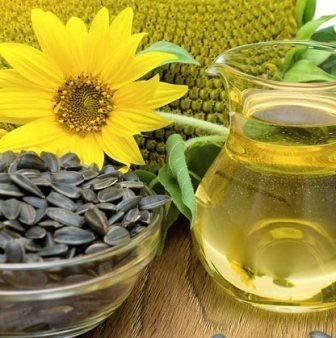 Ukraine and Russia increase the production of sunflower oil