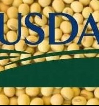 USDA lowered the forecast of world soybean production 
