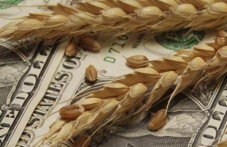 The fall in world wheat prices continues