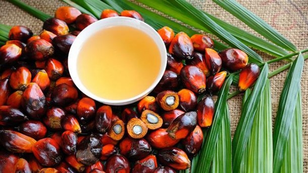 Palm oil fell by 2.7% from the beginning of the week
