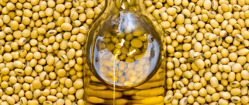 Chicago soybean oil futures continue to break records 