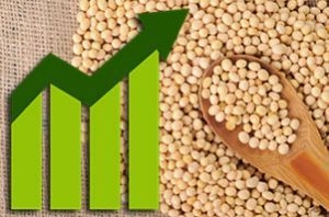 The USDA increased the forecast of world soybean production in 2016/17 MG