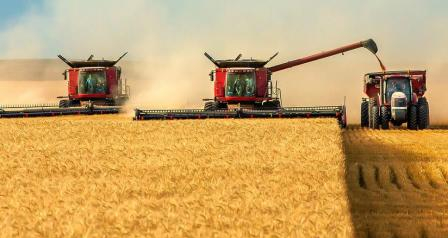 Урожай пшеницы в Украине и России может быть на уровне прошлогоднего