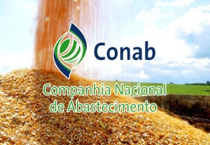 Experts Conab revised estimate of the yield of oilseed crops in Brazil