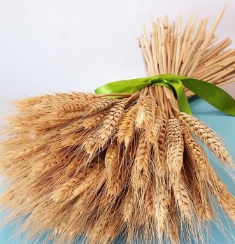 Новые прогнозы и спекулянты развернули цены на пшеницу вниз