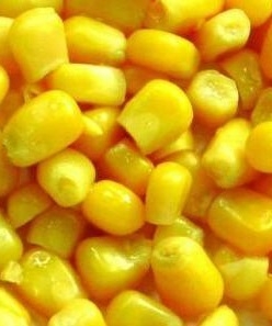 Corn prices in Ukraine are growing due to high demand
