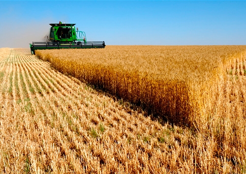 The first million tons of grain were collected in Ukraine