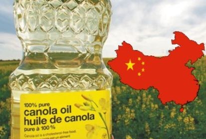The vegetable oil markets have fallen due to forecasts of a sharp reduction in demand