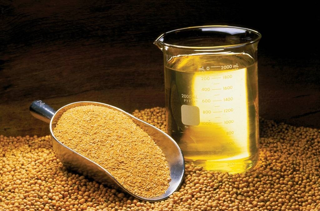 Egypt to tender purchased soy oil 12% sunflower 7% cheaper than in January