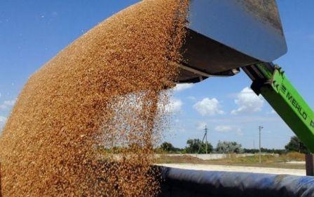 Пшеничная биржа в Чикаго продолжила рост