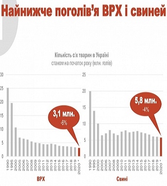 Поголовье свиней и коров в Украине упадет до рекордно низкого уровня