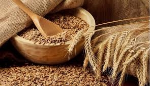 Биржевые цены на пшеницу резко упали