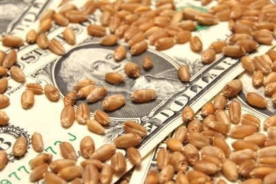 The trading week in the USA ended with the collapse of the wheat exchanges