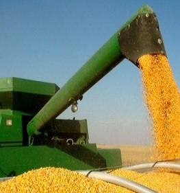 Corn prices received powerful factors in support