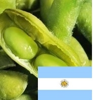 Argentina abolished import duty on soybean industry