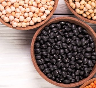 First international conference: PULSES. FOCUSING ON MAXIMUM EFFICIENCY