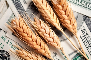 The price of wheat in the United States and Europe accelerate the fall