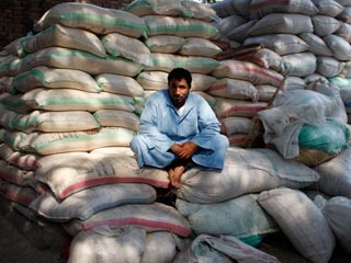 Єгипет нарешті придбав велику партію пшениці