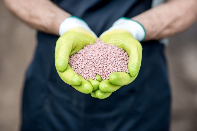 Ammophos: the beneﬁts and importance of mineral fertilizers for agriculture