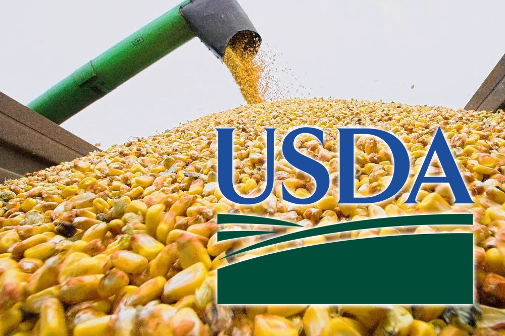 Experts the USDA lowered the forecast of world production and stocks of corn 