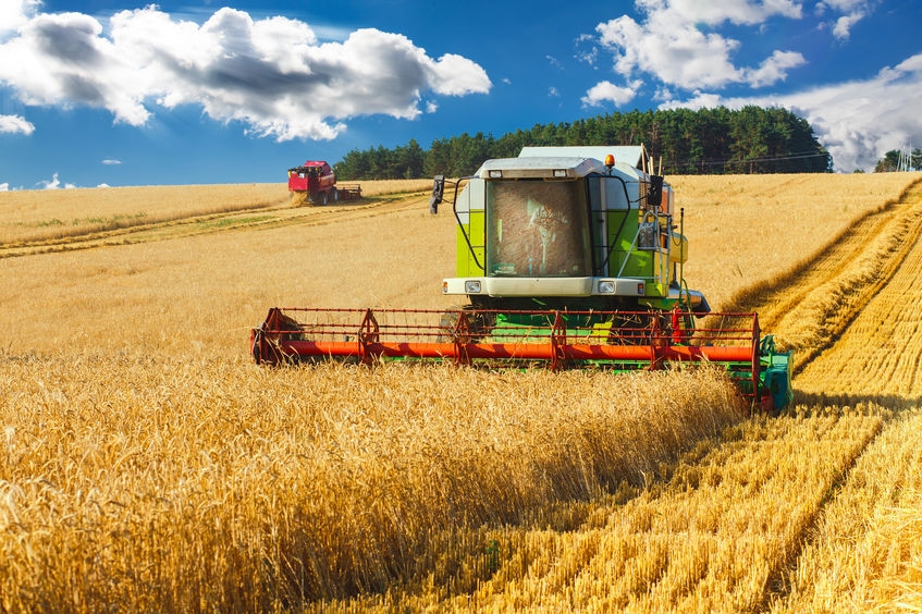 Україна завершує збирання ранніх зернових та прискорює збирання соняшника і сої 