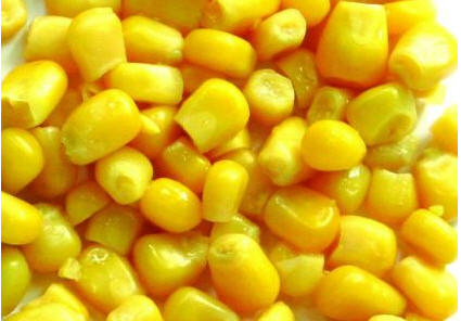 Значні запаси кукурудзи в Україні тиснуть на ціни
