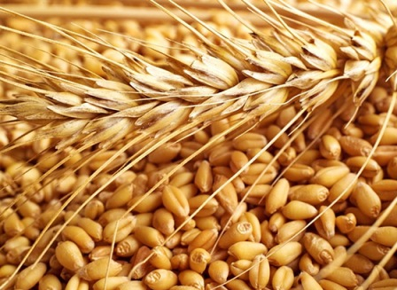 In anticipation of the USDA report, wheat prices declined slightly