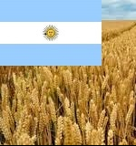 Argentina has imposed a duty on grain exports
