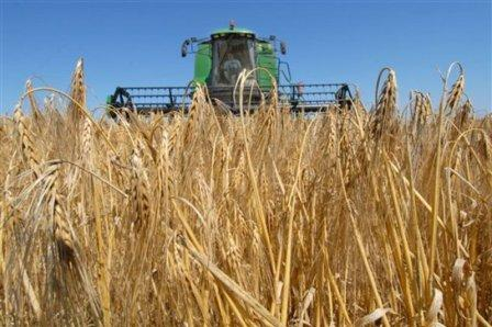 Россия почти завершила уборку урожая, Украина немного отстает