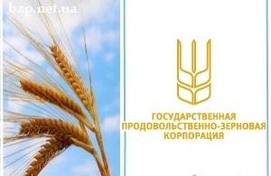 ГПЗКУ планирует начать форвардную программу по закупке 500 тыс. тн зерна