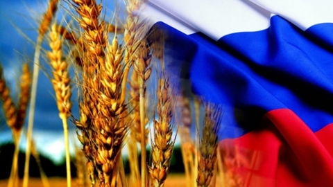 Россия приводит правила торговли зерном в соответствие с нормами GAFTA