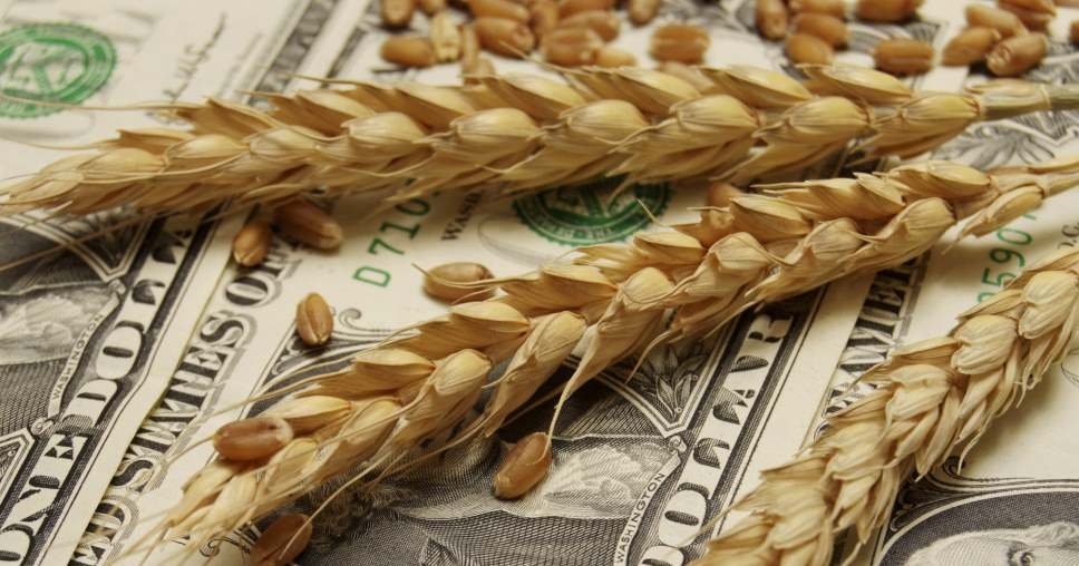 Wheat prices fell, although acreage and stocks were lower than expected