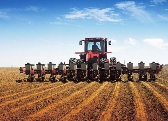 В Украине яровыми зерновыми засеяно более 600 тыс. га