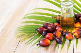 Palm oil rose to a 3-week high amid rising oil prices