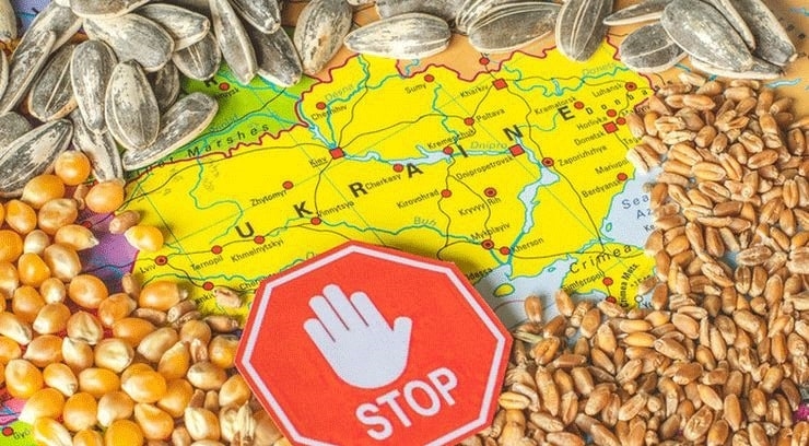 ЄС планує продовжити заборону на експорт з України до сусідніх країн пшениці, кукурудзи, ріпаку та соняшника