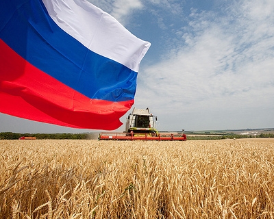 The stock price of wheat rose after a decline in forecast production in Russia