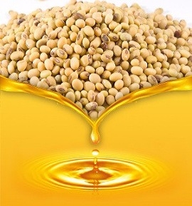 Egypt will increase its own processing and will reduce the import of soybean oil