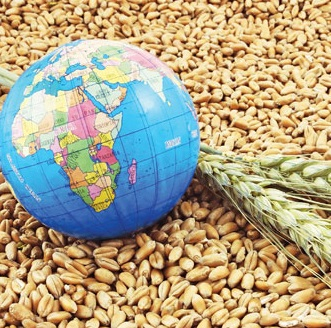 Российская пшеница продолжает экспансию на мировые рынки