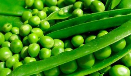 Ukraine is among the five largest exporters of peas