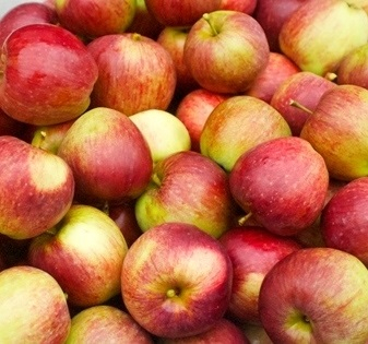 Украина увеличивает экспорт яблок