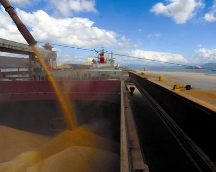 In the current season the country exported 33 million tons of grain