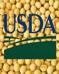 Prices for soybeans rose amid strong Chinese buying and the updated USDA report