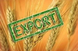 Increase the pace of grain exports from Ukraine in parallel to the growth of the gross collection