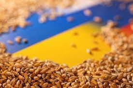 In December, Ukraine accelerated the export of agricultural products, albeit slightly