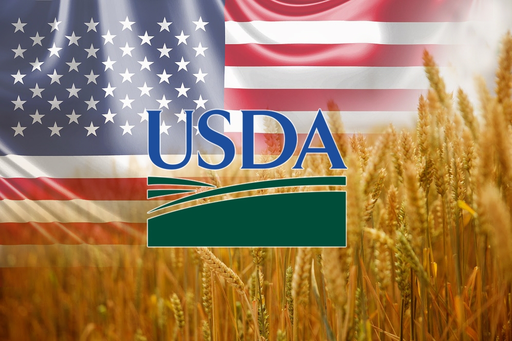 USDA увеличил прогноз производства и запасов пшеницы, но в январе может снова их повысить