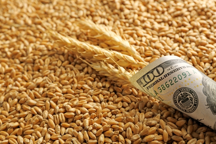 The decline in wheat prices stimulates demand from importers